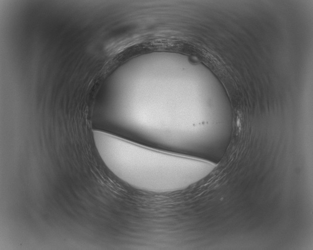 X0000083610867200702120721