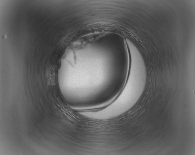 X0000083610868200702120721