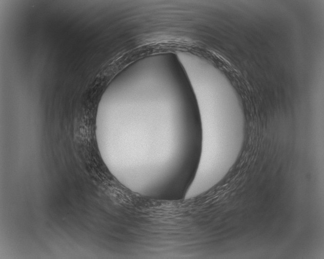 X0000083610869200702120721