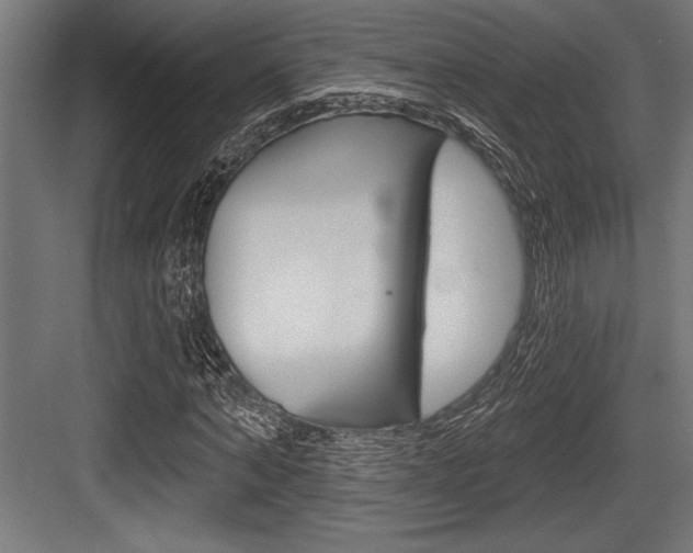 X0000083610870200702120721