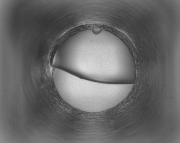 X0000083610871200702120721
