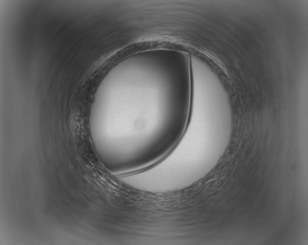 X0000083610872200702120721