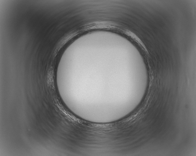 X0000083610874200702120721