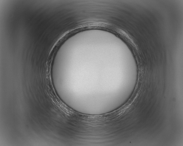 X0000083610875200702120721