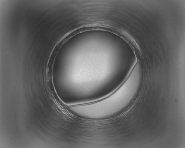 X0000083610876200702120721