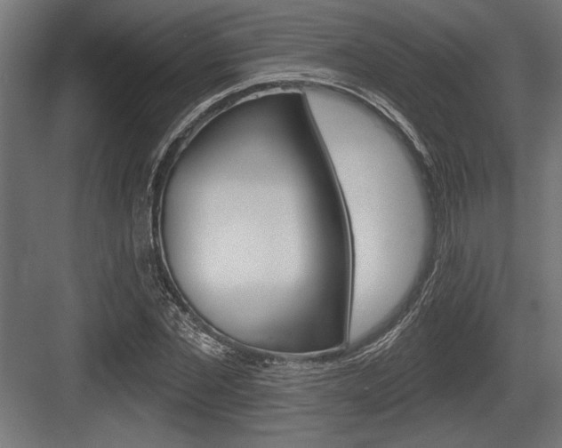 X0000083610877200702120721