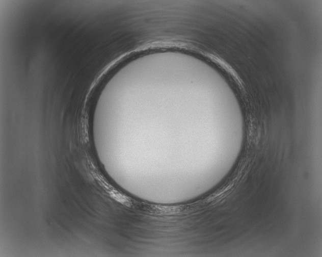 X0000083610878200702120721