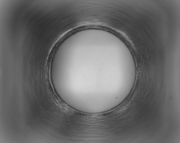 X0000083610879200702120721