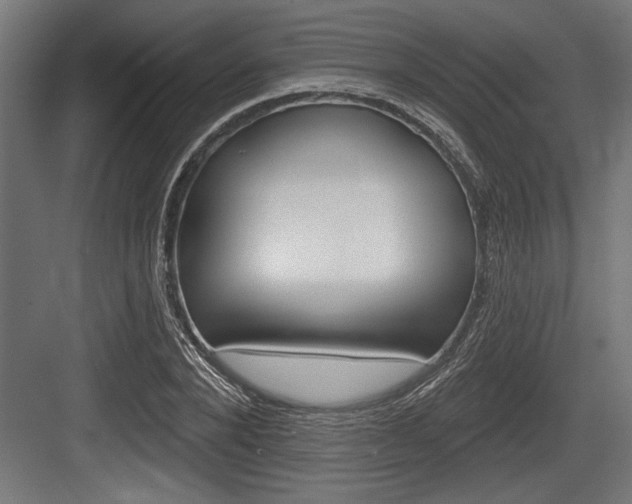X0000083610880200702120721
