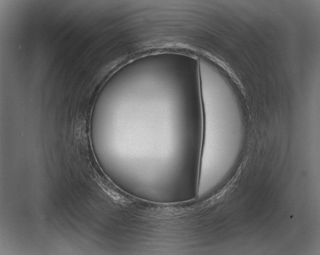 X0000083610881200702120721