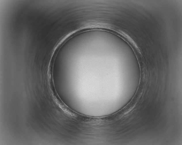 X0000083610885200702120721