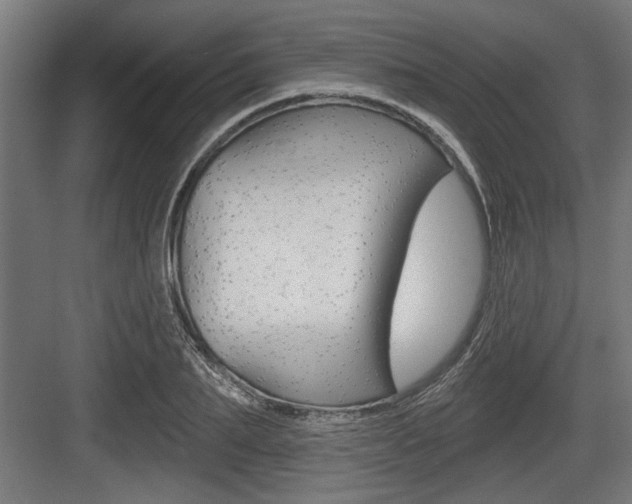 X0000083610887200702120721