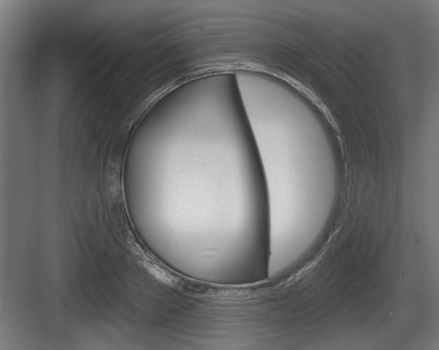 X0000083610889200702120721