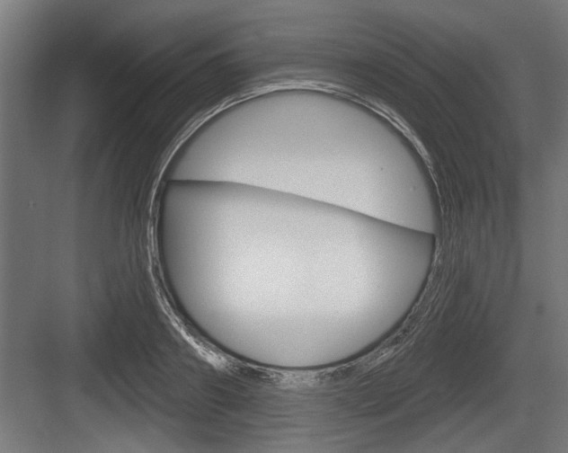 X0000083610890200702120721