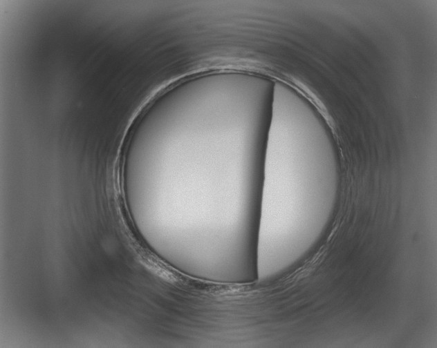 X0000083610891200702120721