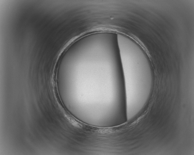 X0000083610893200702120721