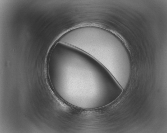 X0000083610894200702120720