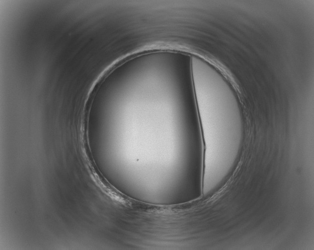 X0000083610896200702120720