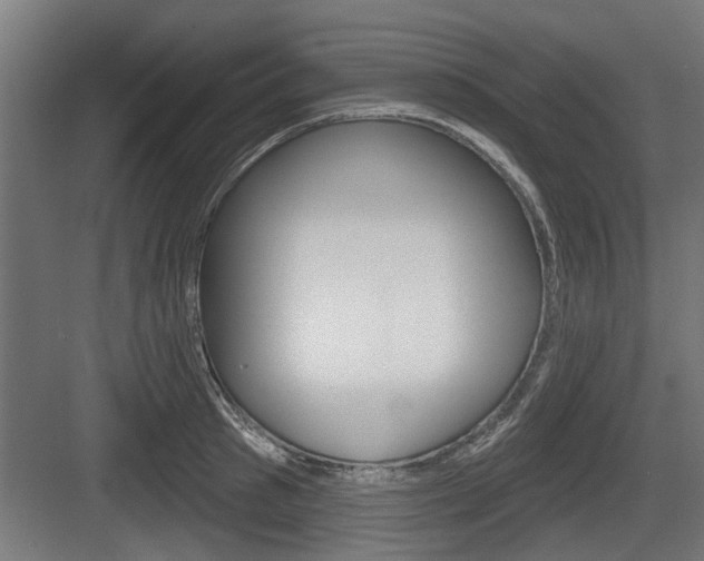 X0000083610897200702120720