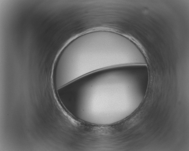 X0000083610902200702120720