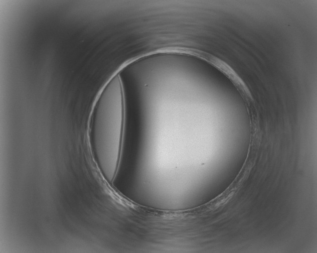 X0000083610908200702120720