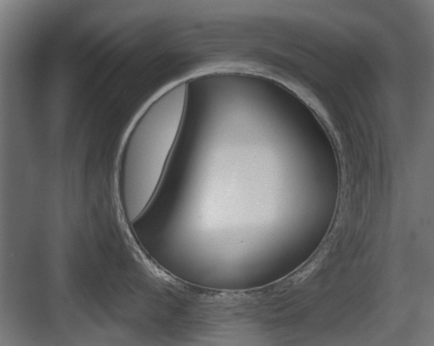 X0000083610912200702120720