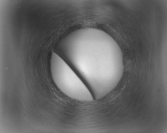 X0000083610913200702120719