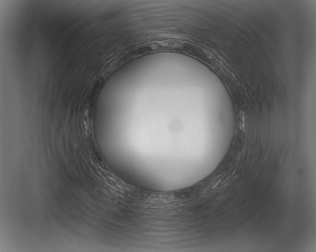 X0000083610915200702120719