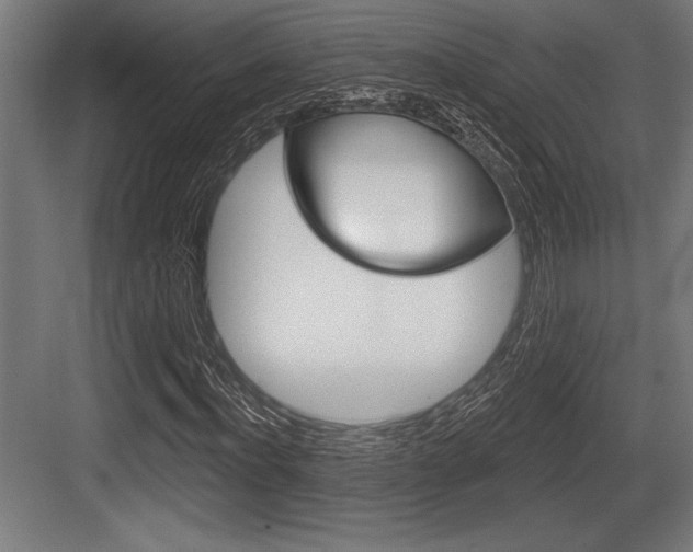 X0000083610916200702120719