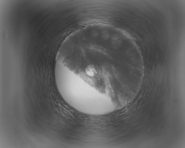 X0000083610917200702120719