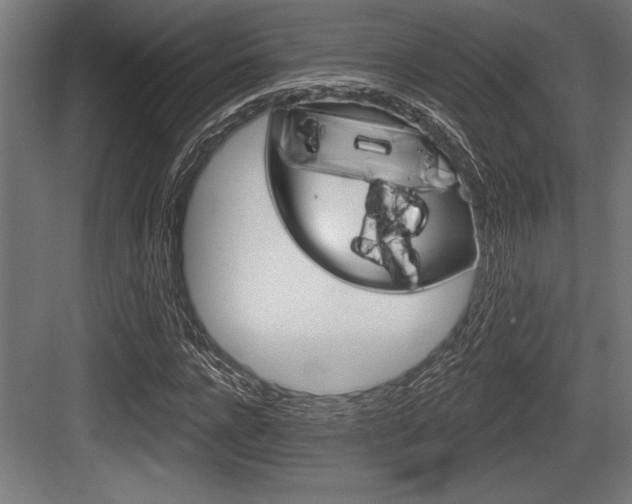 X0000083610920200702120720