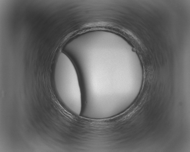X0000083610921200702120720