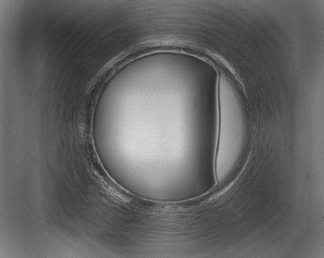 X0000083610922200702120720