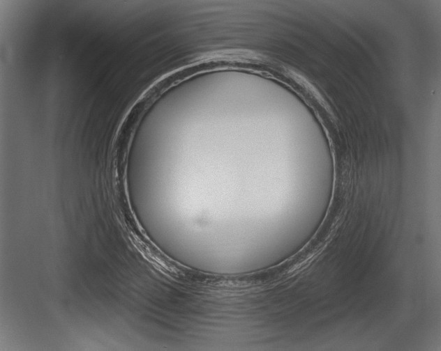 X0000083610923200702120720