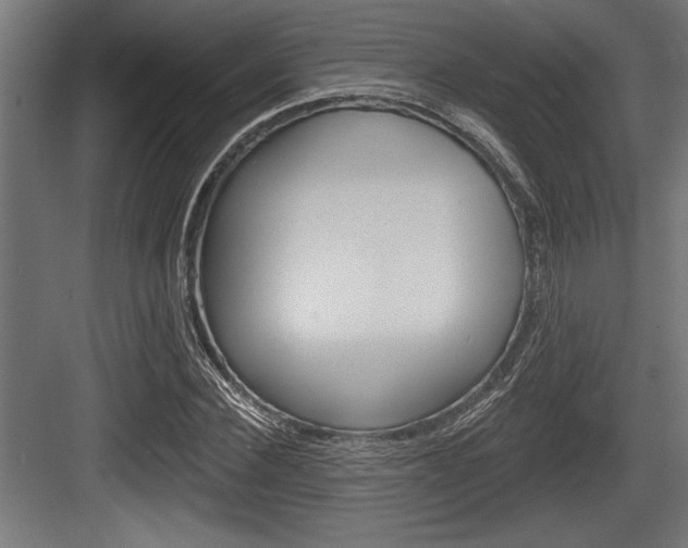X0000083610924200702120720