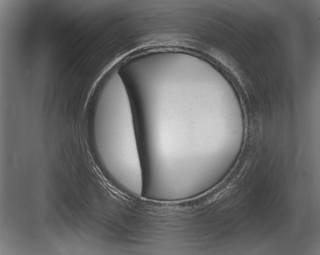 X0000083610925200702120720