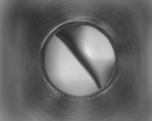 X0000083610926200702120720
