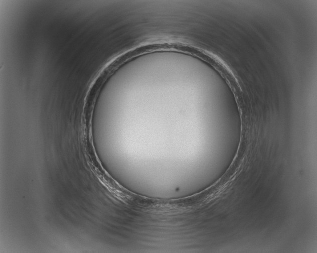X0000083610927200702120720