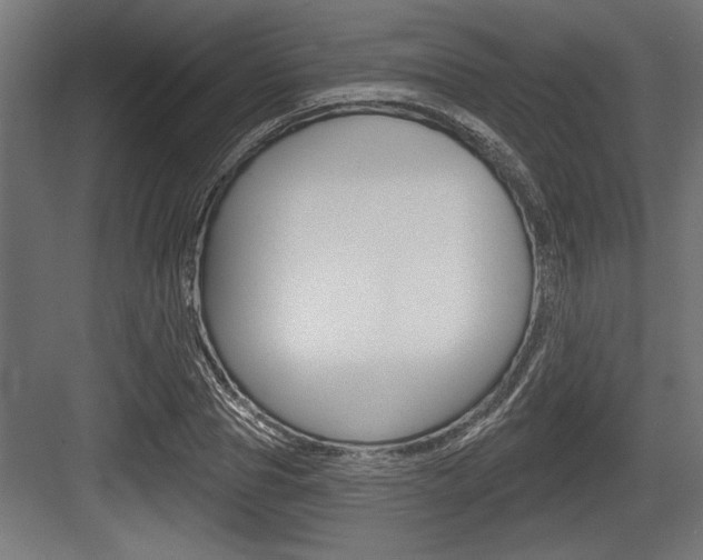 X0000083610929200702120720
