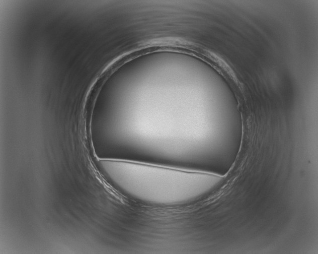 X0000083610931200702120720