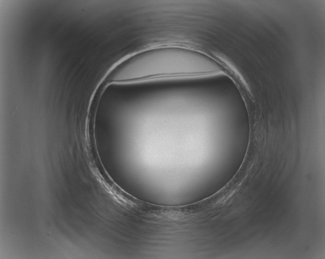 X0000083610932200702120720