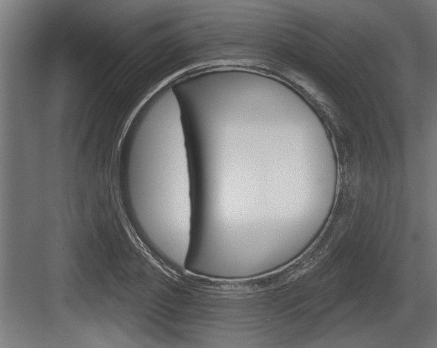 X0000083610933200702120720