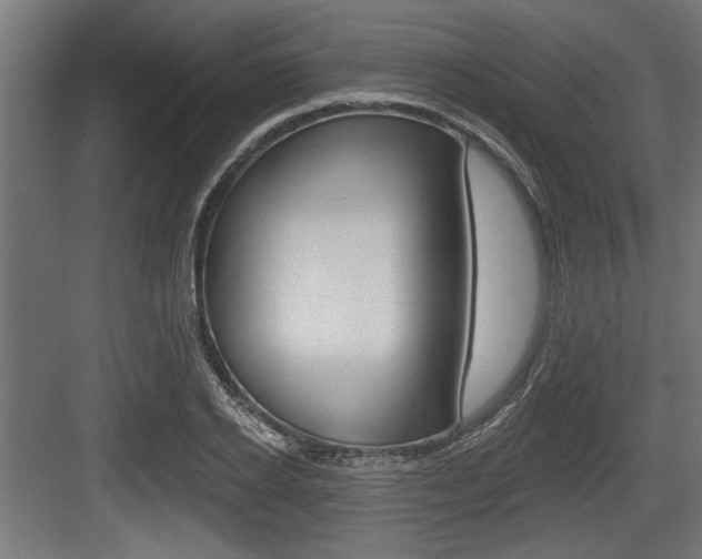 X0000083610934200702120720