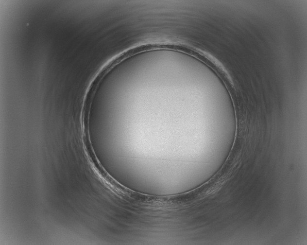 X0000083610935200702120720