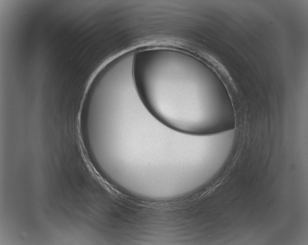 X0000083610936200702120720