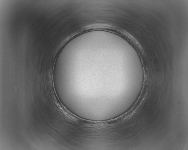 X0000083610937200702120720