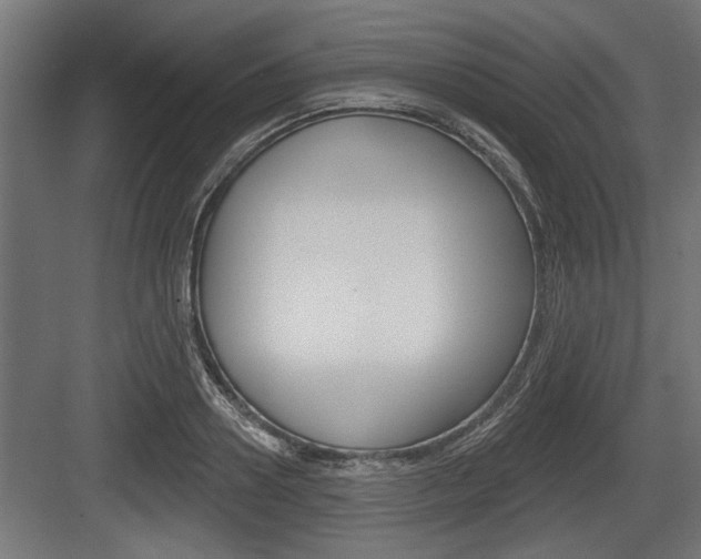 X0000083610938200702120720
