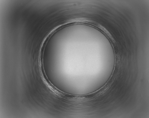 X0000083610939200702120720