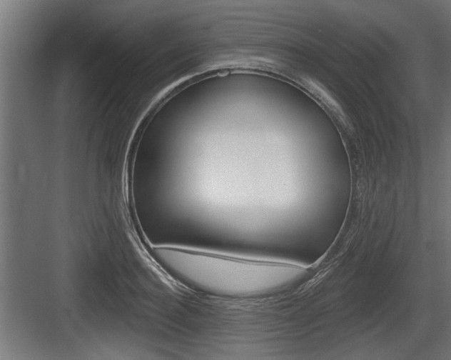 X0000083610940200702120720
