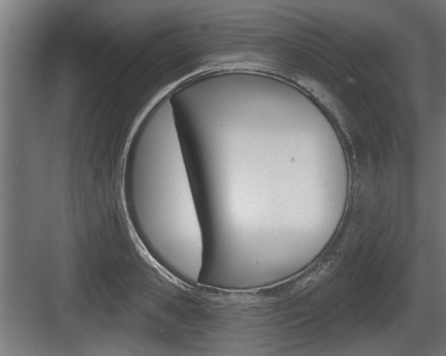 X0000083610941200702120720